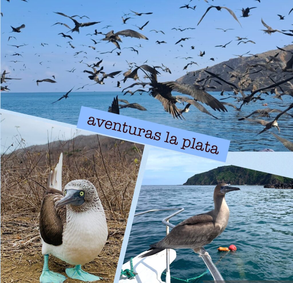 Tour de aves con anticipacion disponemos guias especializados en ornitologia